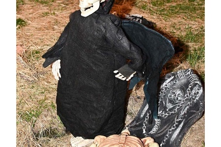 DSC_8003.jpg