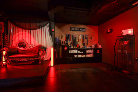 Dungeon Playroom 35