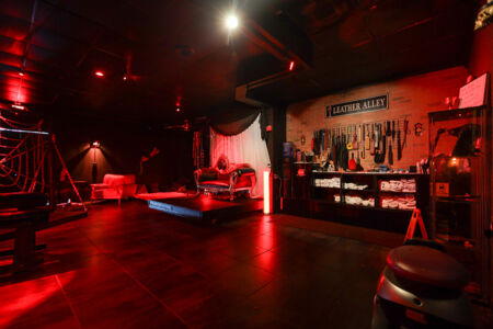 Dungeon Playroom 38